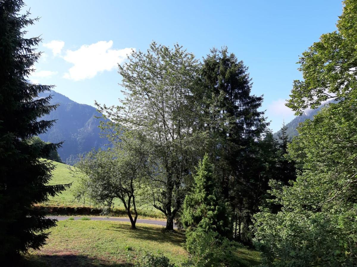 Chalet Tante Emma Vacheresse المظهر الخارجي الصورة
