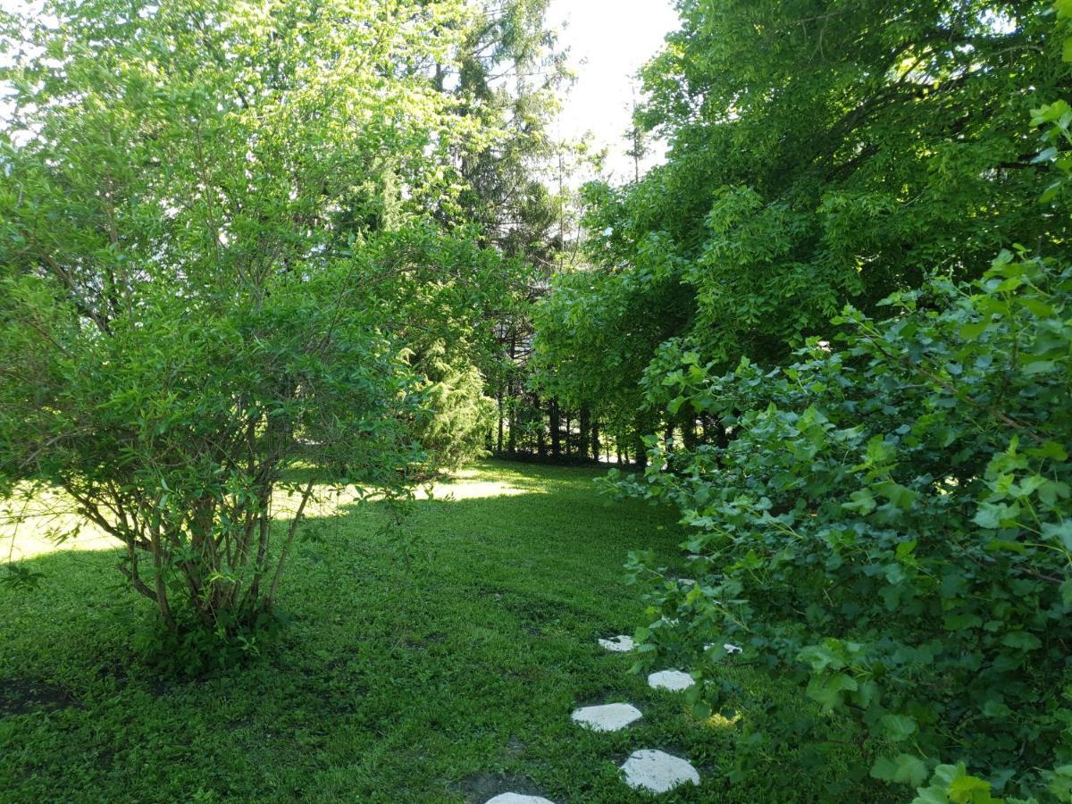 Chalet Tante Emma Vacheresse المظهر الخارجي الصورة