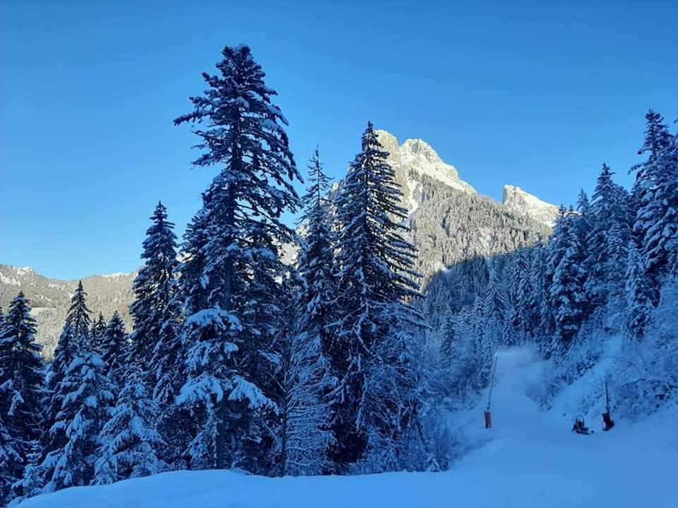 Chalet Tante Emma Vacheresse المظهر الخارجي الصورة