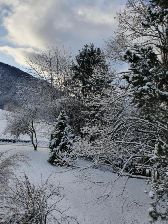 Chalet Tante Emma Vacheresse المظهر الخارجي الصورة
